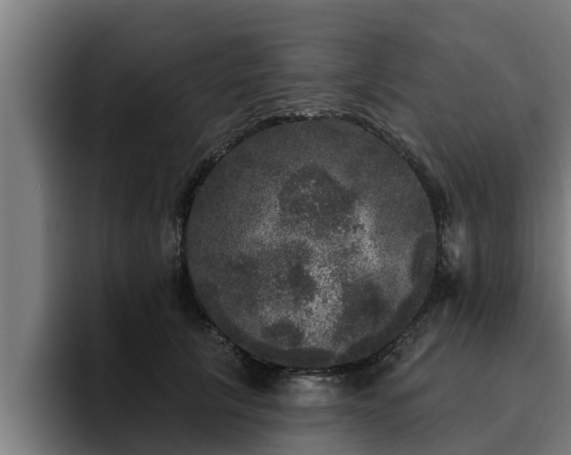 X0000094940657200712061232