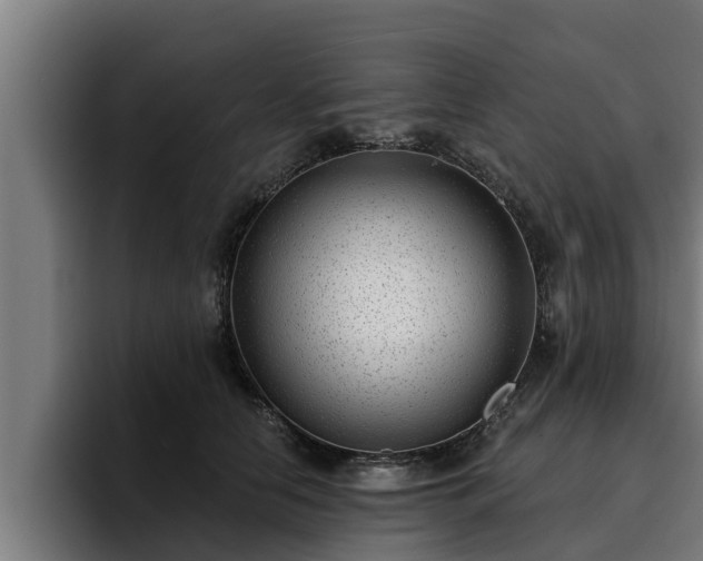 X0000094940658200712061232