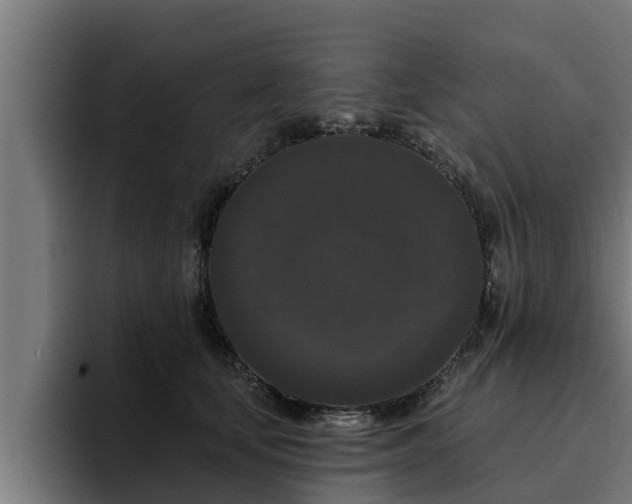 X0000094940659200712061232