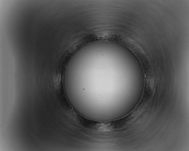 X0000094940660200712061232