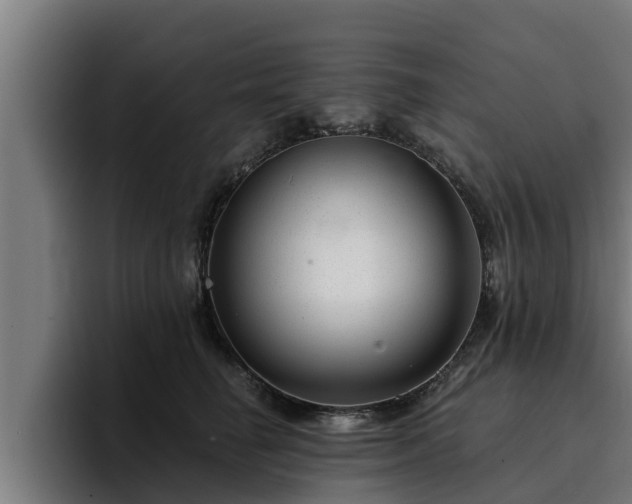 X0000094940662200712061232