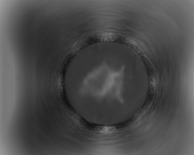 X0000094940663200712061232