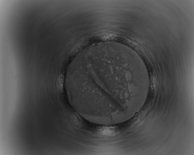 X0000094940664200712061232