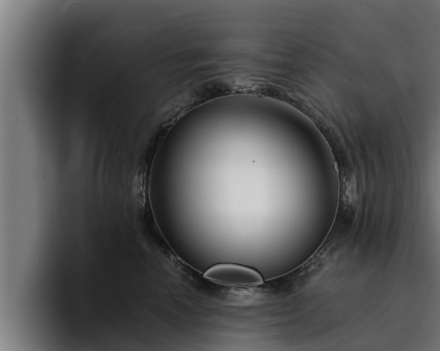 X0000094940666200712061232