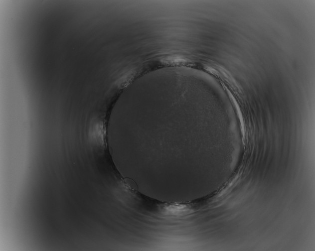 X0000094940669200712061232