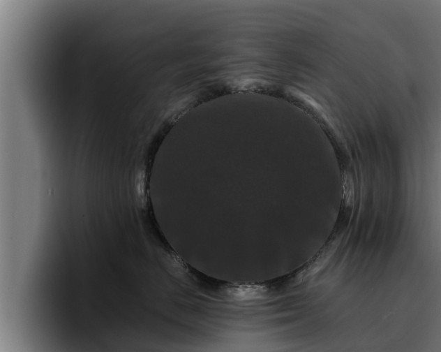 X0000094940670200712061232