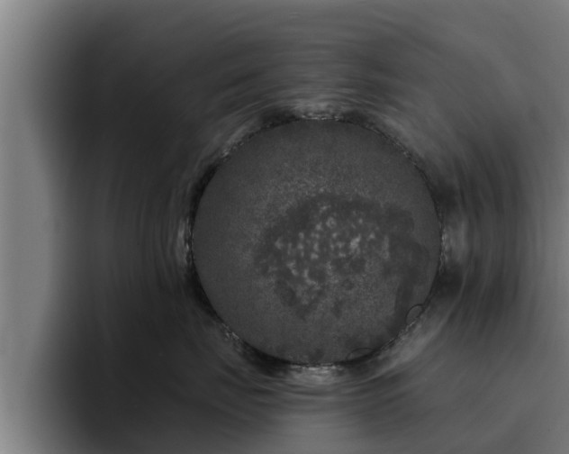 X0000094940671200712061232