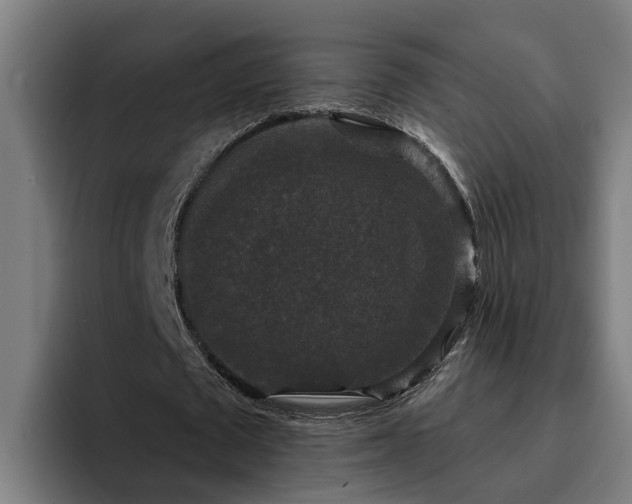 X0000094940673200712061232