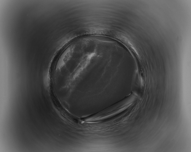 X0000094940674200712061232