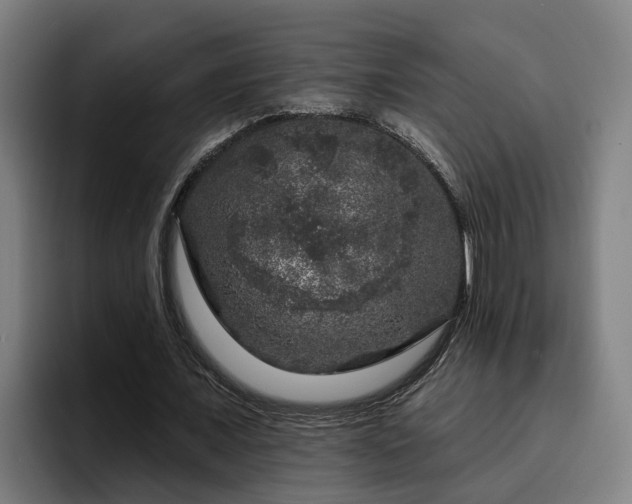 X0000094940675200712061232