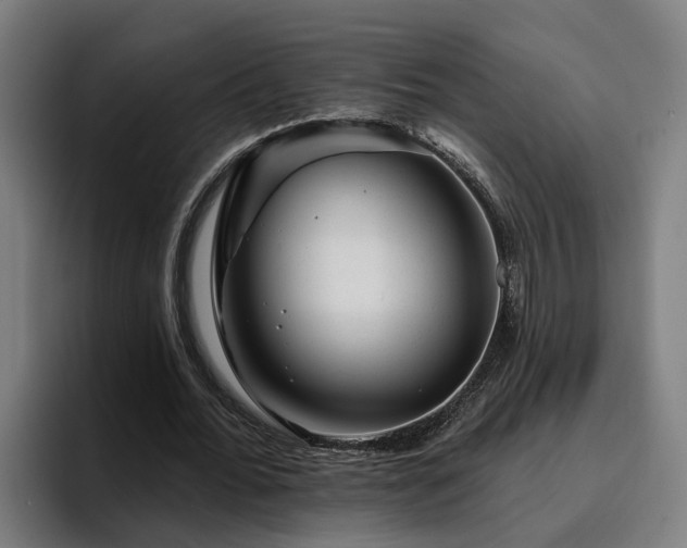 X0000094940676200712061232