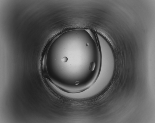 X0000094940677200712061232