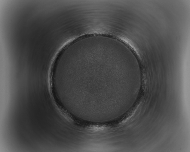 X0000094940680200712061231