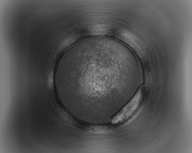 X0000094940681200712061231