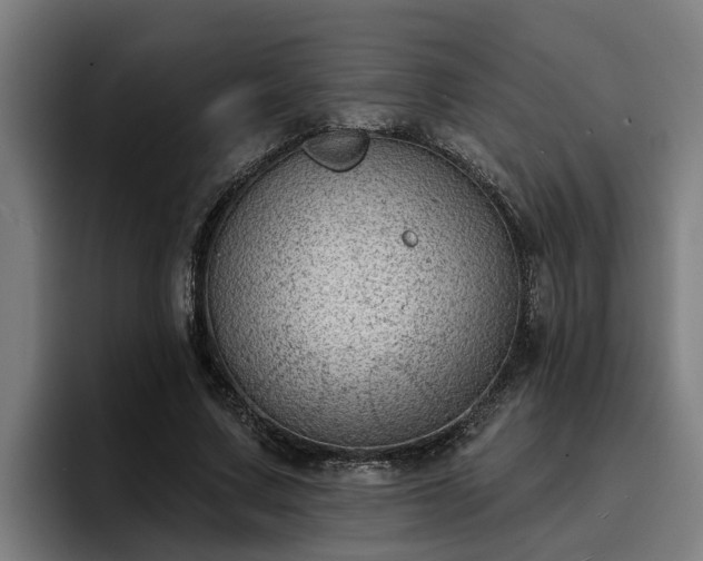 X0000094940683200712061231