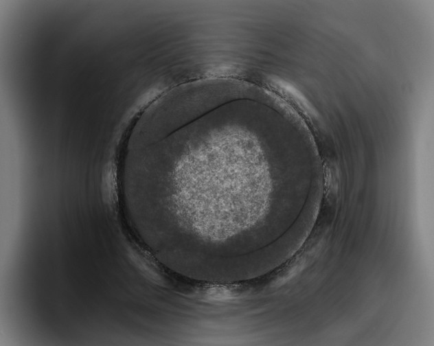 X0000094940684200712061231