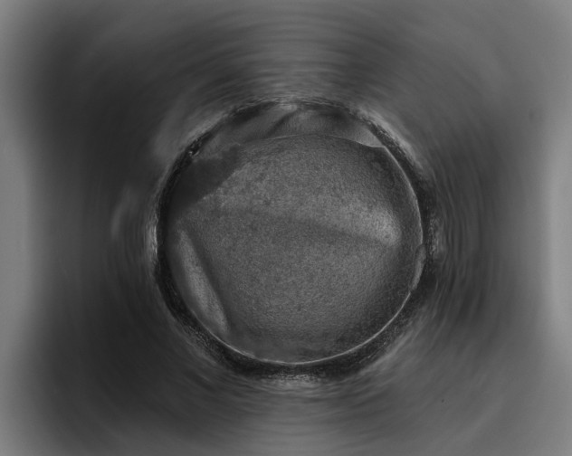 X0000094940685200712061231