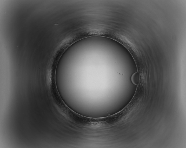 X0000094940686200712061231