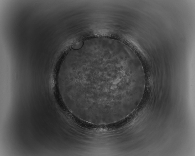 X0000094940687200712061231