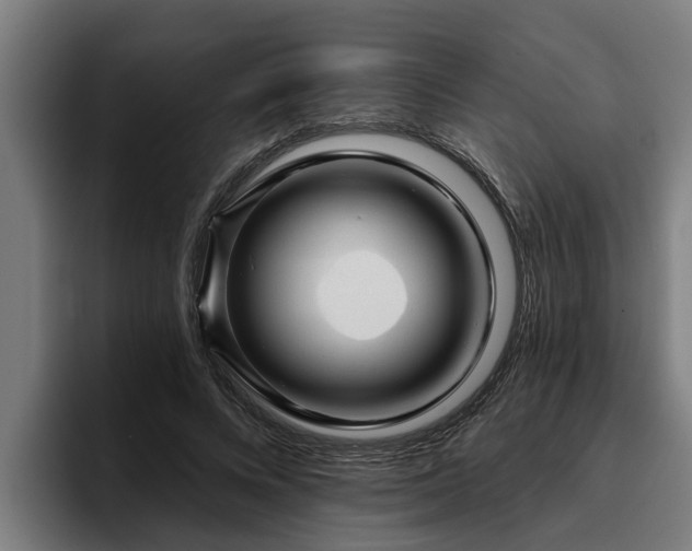 X0000094940688200712061231