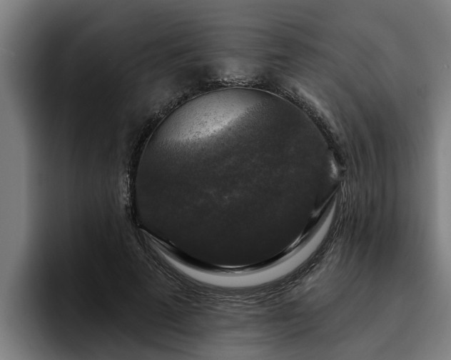 X0000094940689200712061231