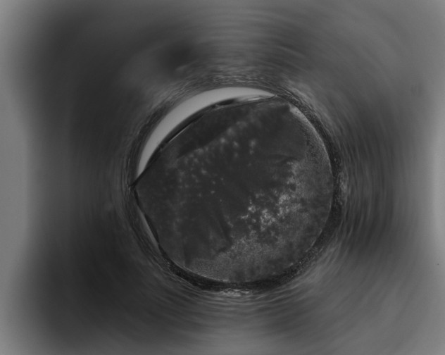 X0000094940691200712061231