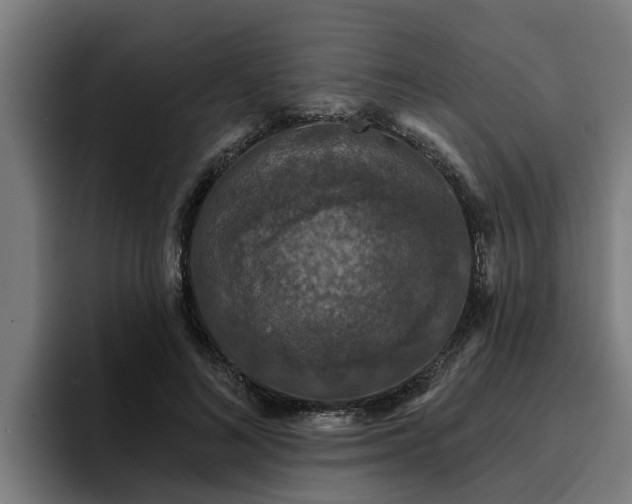 X0000094940692200712061231