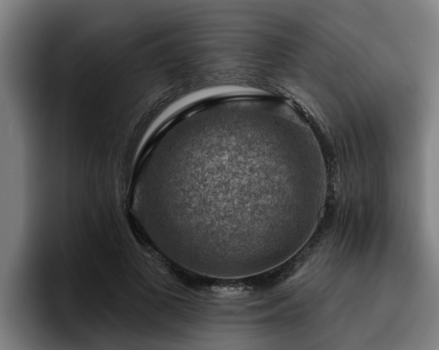 X0000094940693200712061231