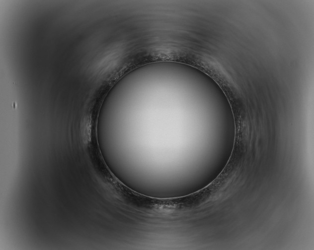 X0000094940694200712061231