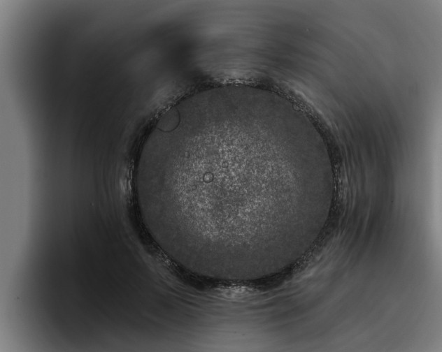 X0000094940695200712061231