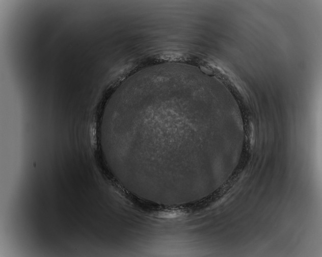 X0000094940696200712061231