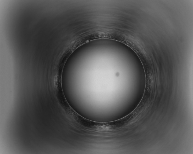 X0000094940698200712061231