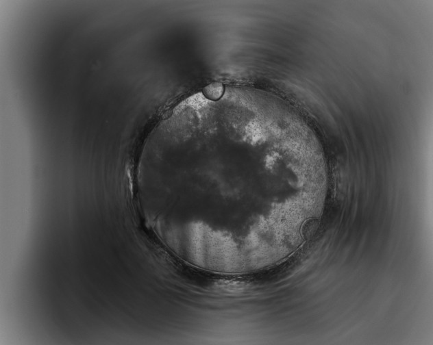 X0000094940699200712061231