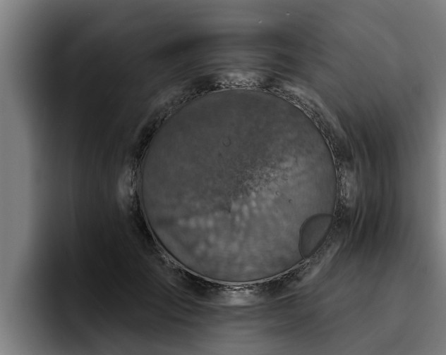 X0000094940701200712061231