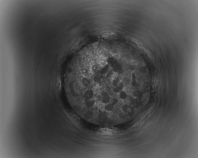 X0000094940703200712061231