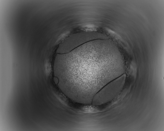 X0000094940704200712061231