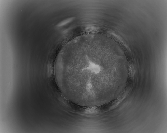 X0000094940705200712061231