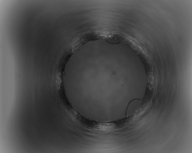 X0000094940707200712061231