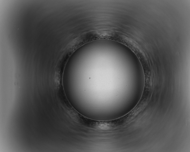 X0000094940710200712061231