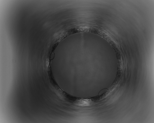 X0000094940711200712061231