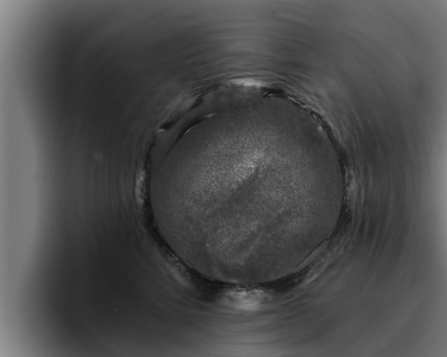 X0000094940712200712061231