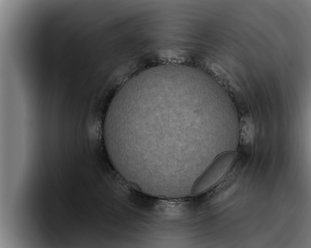 X0000094940713200712061231