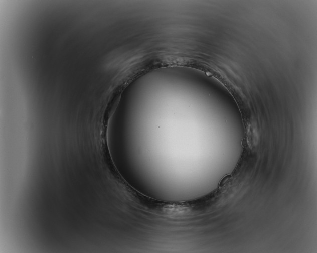 X0000094940714200712061231