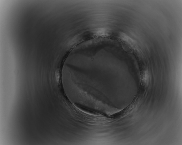 X0000094940715200712061231