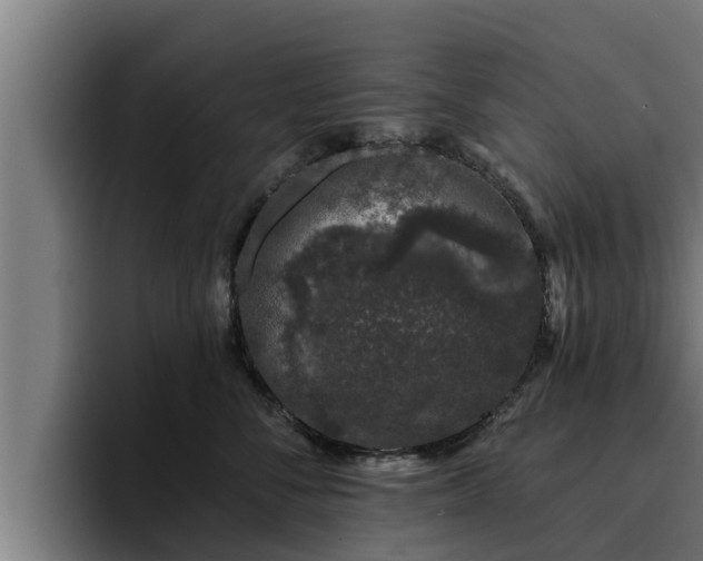 X0000094940716200712061231