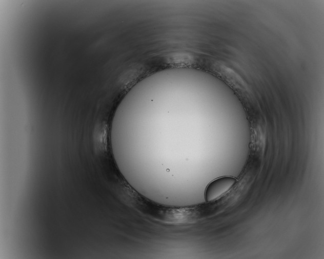 X0000094940717200712061231