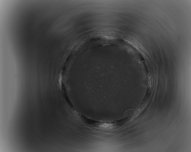 X0000094940718200712061231