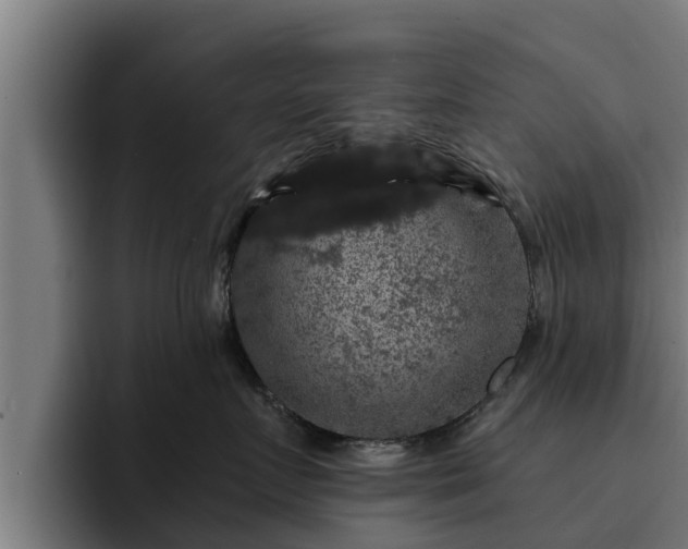 X0000094940719200712061231