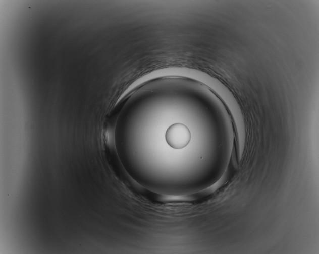 X0000094940720200712061231