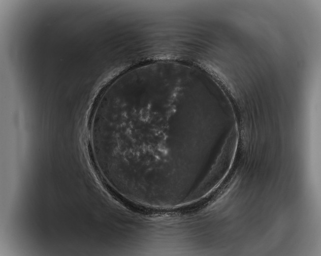 X0000094940721200712061230